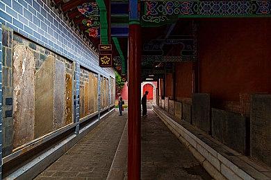 社区模拟游戏《哈克小镇》新增种田系统 游戏更加休闲佛系