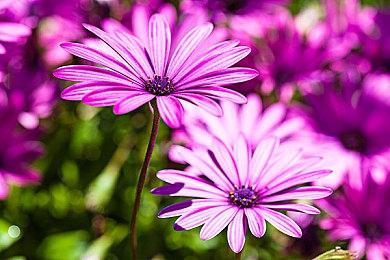 卡牌横板《魂宠猎人》11月7日发售 支持试玩